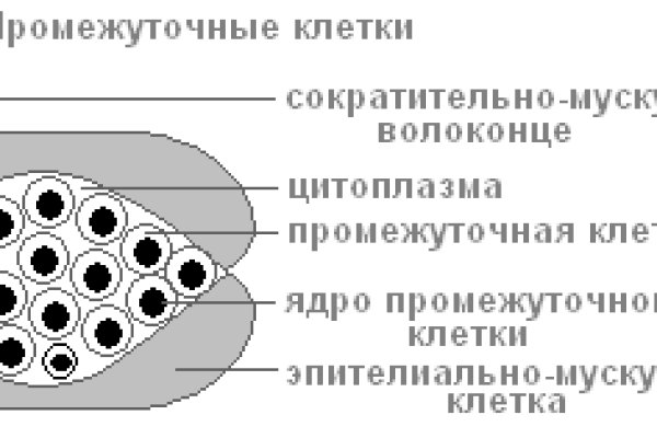 Дарк нет кракен