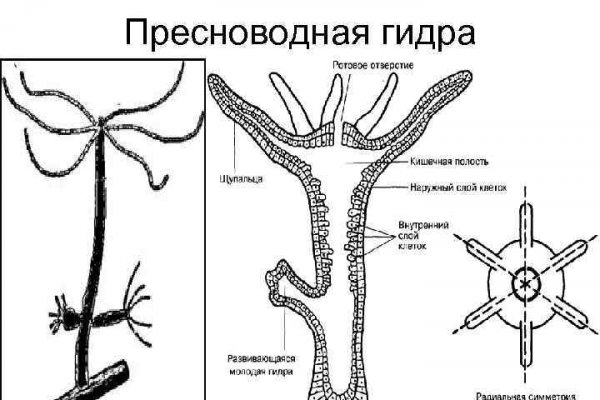 Кракен вход ссылка kraken torion net