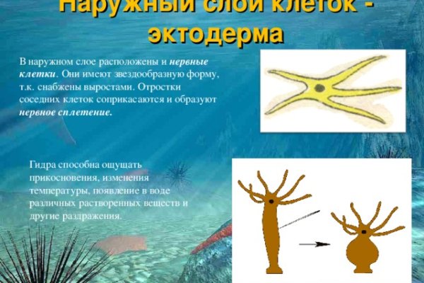 Кракен ссылка маркет