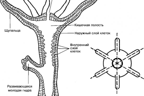 Kra42.cc Вход на сайт главная страница