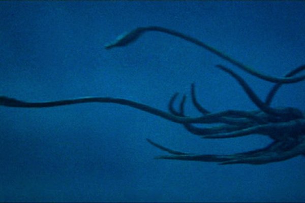 Kraken 26at