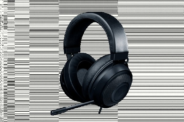 Kraken whitenet store