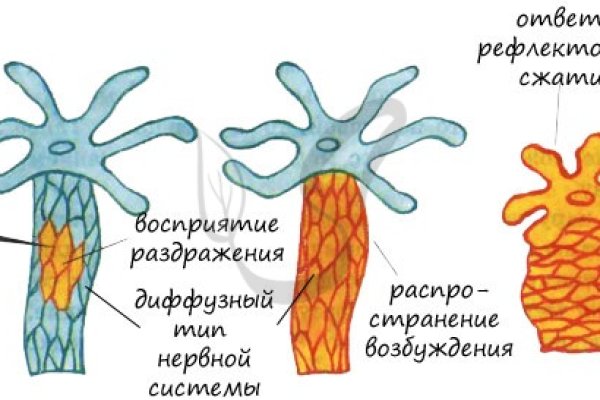Кракен зайти зеркало