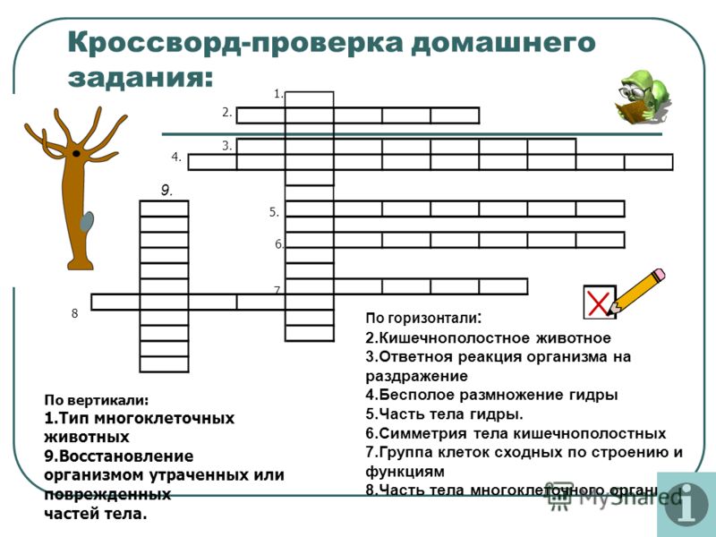Кракен супернет рекламы