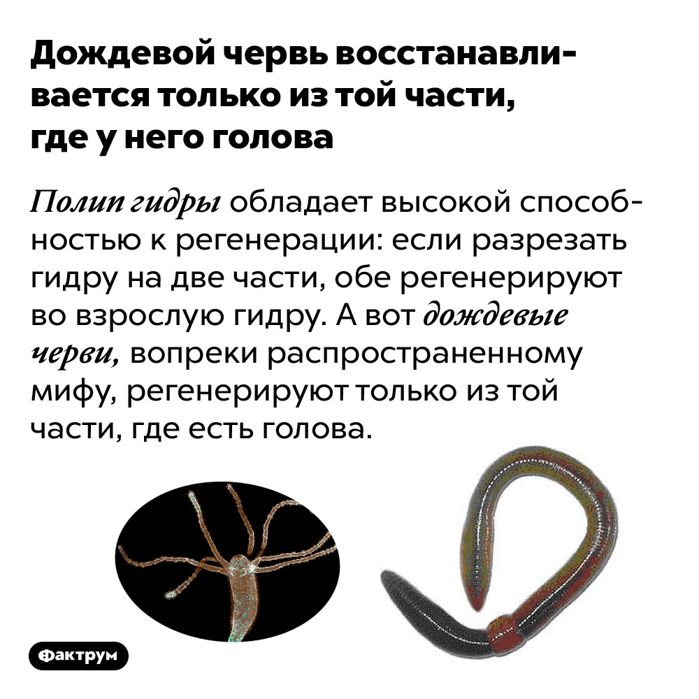 Кракен маркетплейс kr2web in